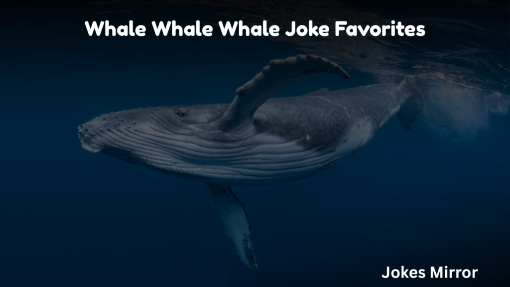 Whale Whale Whale Joke Favorites