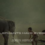 Elephant Jokes That Will Make You Smile and Giggle