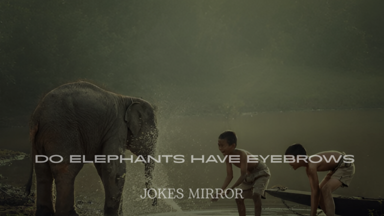 Elephant Jokes That Will Make You Smile and Giggle
