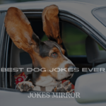 200+ Best Dog Jokes Ever