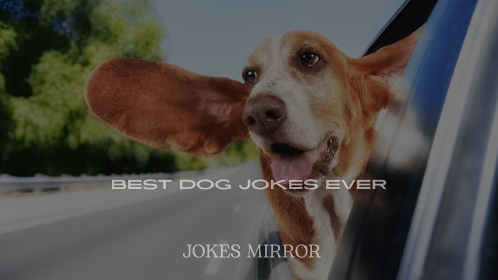200+ Best Dog Jokes Ever