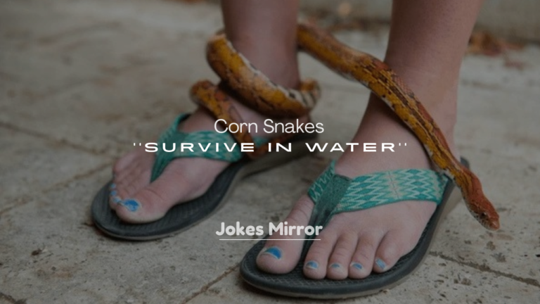 250+ Can Corn Snakes Survive in Water?