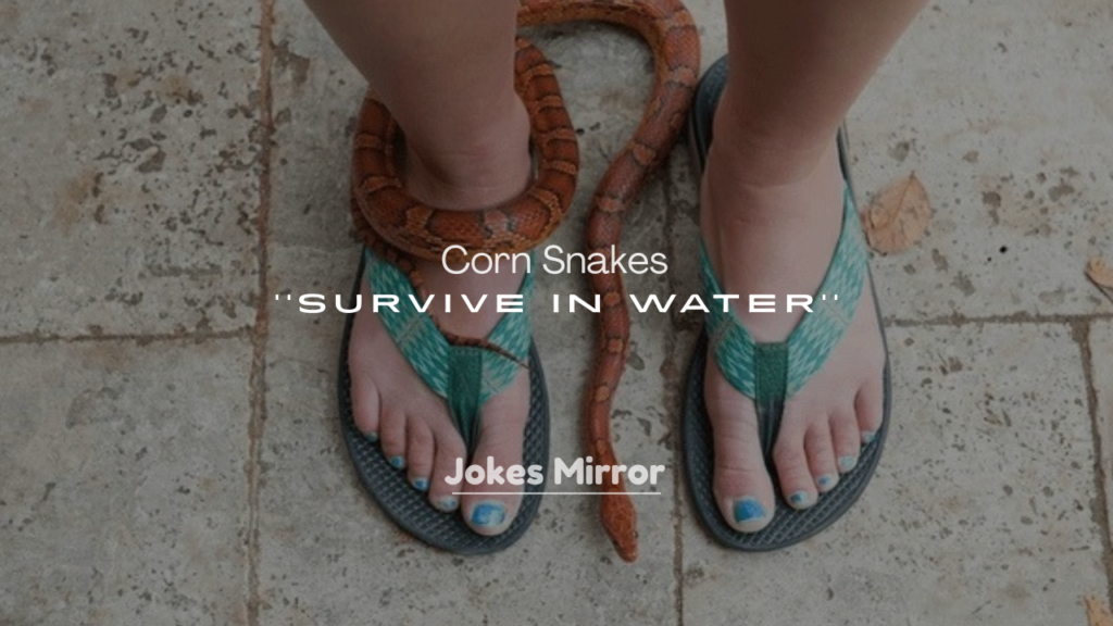 250+ Can Corn Snakes Survive in Water?