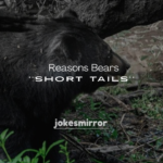 250+ Reasons Bears Have Short Tails