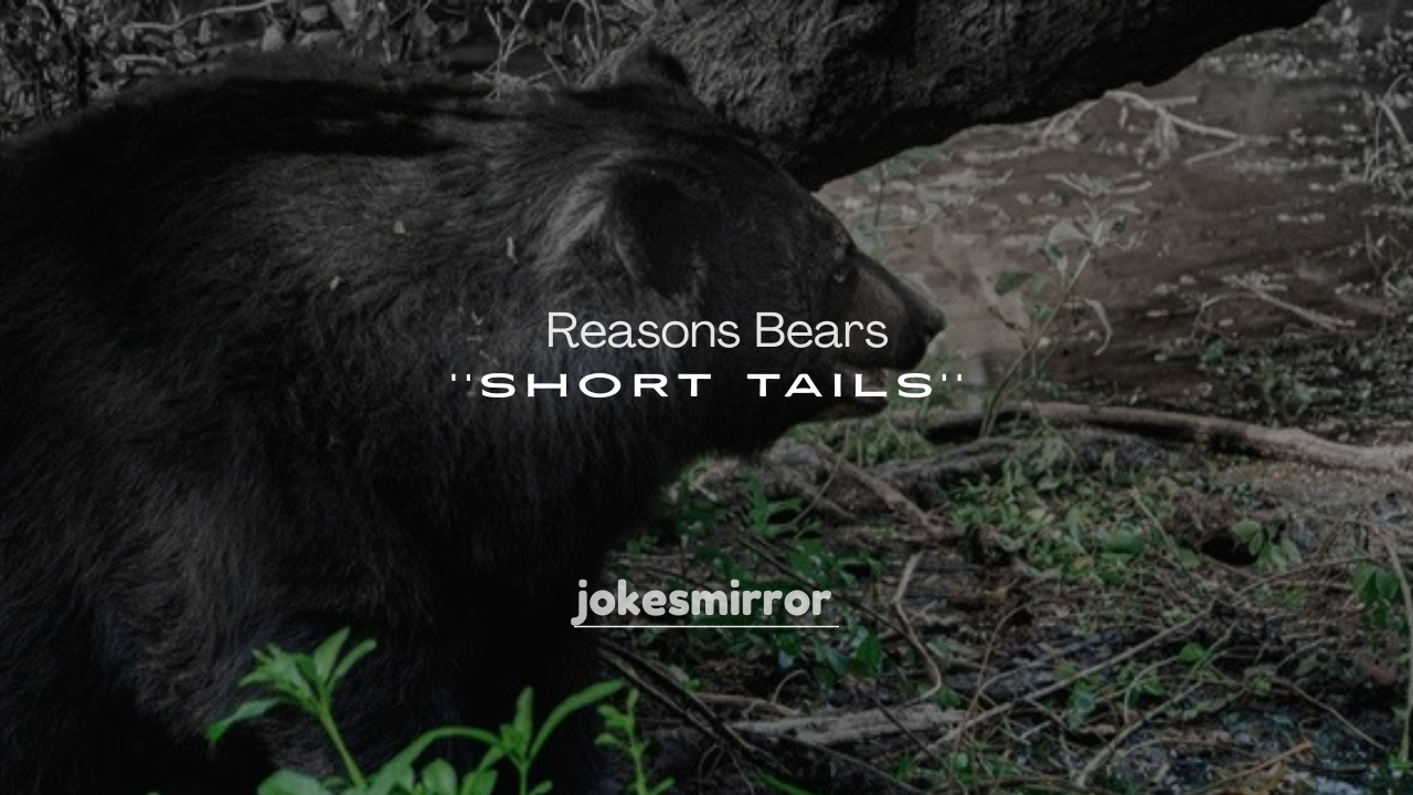 250+ Reasons Bears Have Short Tails