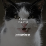 8 Vet-Backed Clues to Identify What a Cat’s Cough Sounds Like