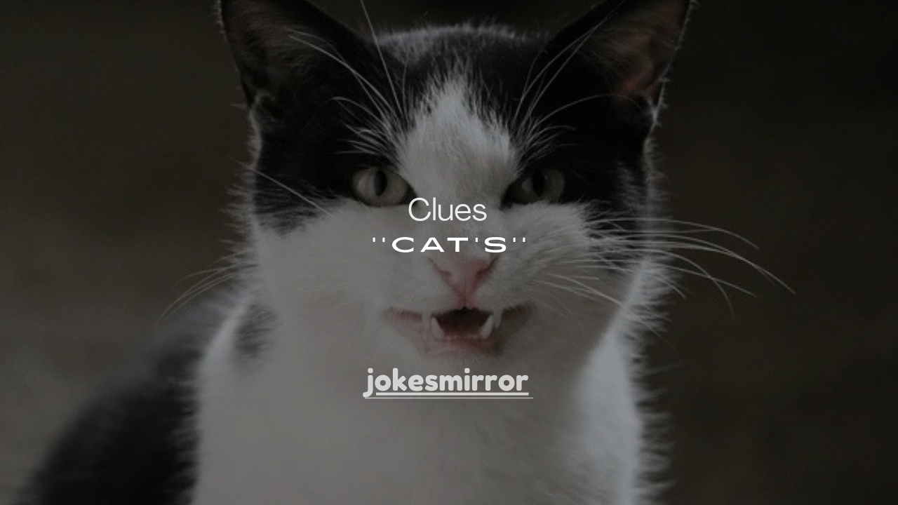 8 Vet-Backed Clues to Identify What a Cat’s Cough Sounds Like