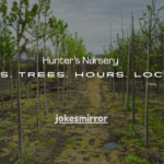 55+Hunter’s Nursery Big Bear: Plants, Trees, Hours, Location & Complete Guide