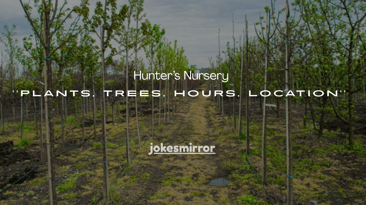 55+Hunter’s Nursery Big Bear: Plants, Trees, Hours, Location & Complete Guide