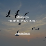 11 Powerful Meanings of a Bird Flying Into Your Windshield (Spiritual + Real Reasons)