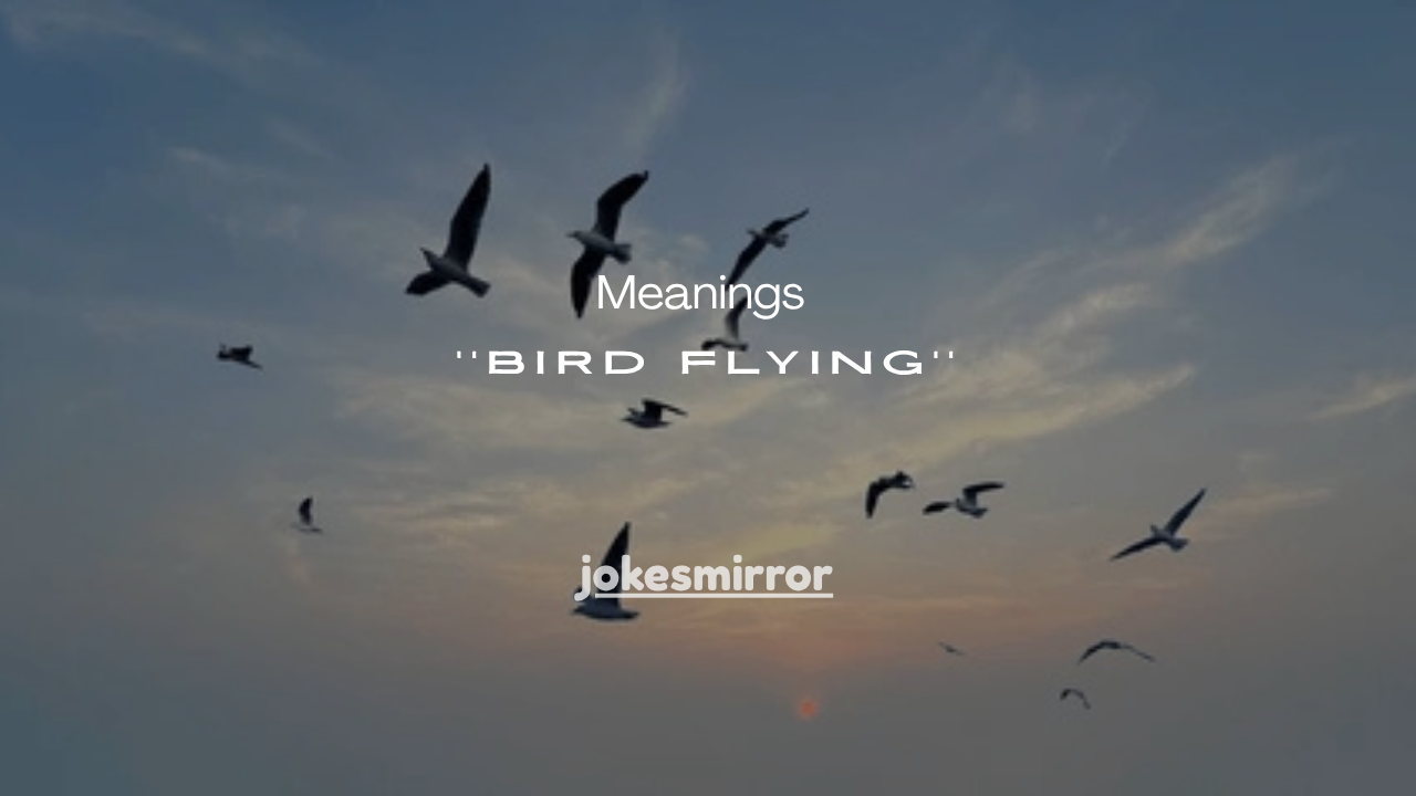 11 Powerful Meanings of a Bird Flying Into Your Windshield (Spiritual + Real Reasons)