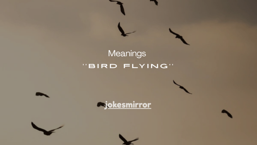 11 Powerful Meanings of a Bird Flying Into Your Windshield (Spiritual + Real Reasons)