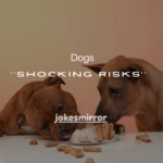 9 Shocking Risks of Dogs Eating Gummy Bears + What to Do Immediately