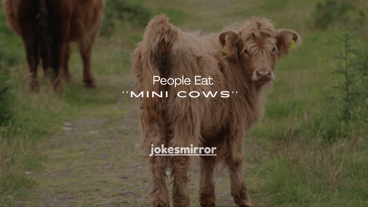 15+Surprising Facts: Do People Eat Mini Cows or Keep Them as Pets?