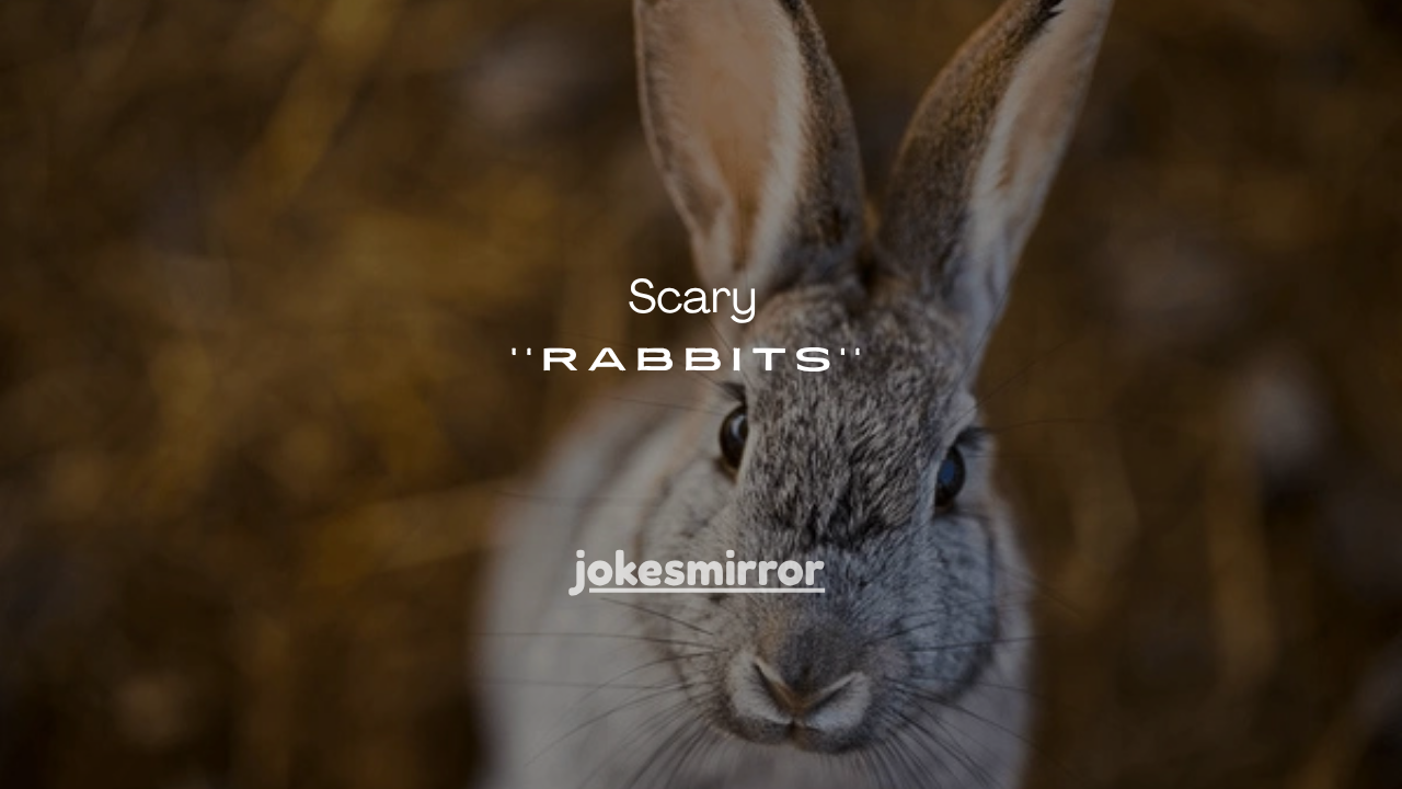 13+Scary Facts About Rabbits That Will Shock You