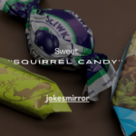 9+Sweet Facts About Old Fashioned Squirrel Candy You Need to Know
