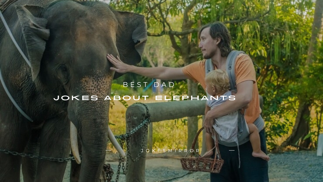 160+ Best Dad Jokes About Elephants